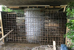 青岛加固公司